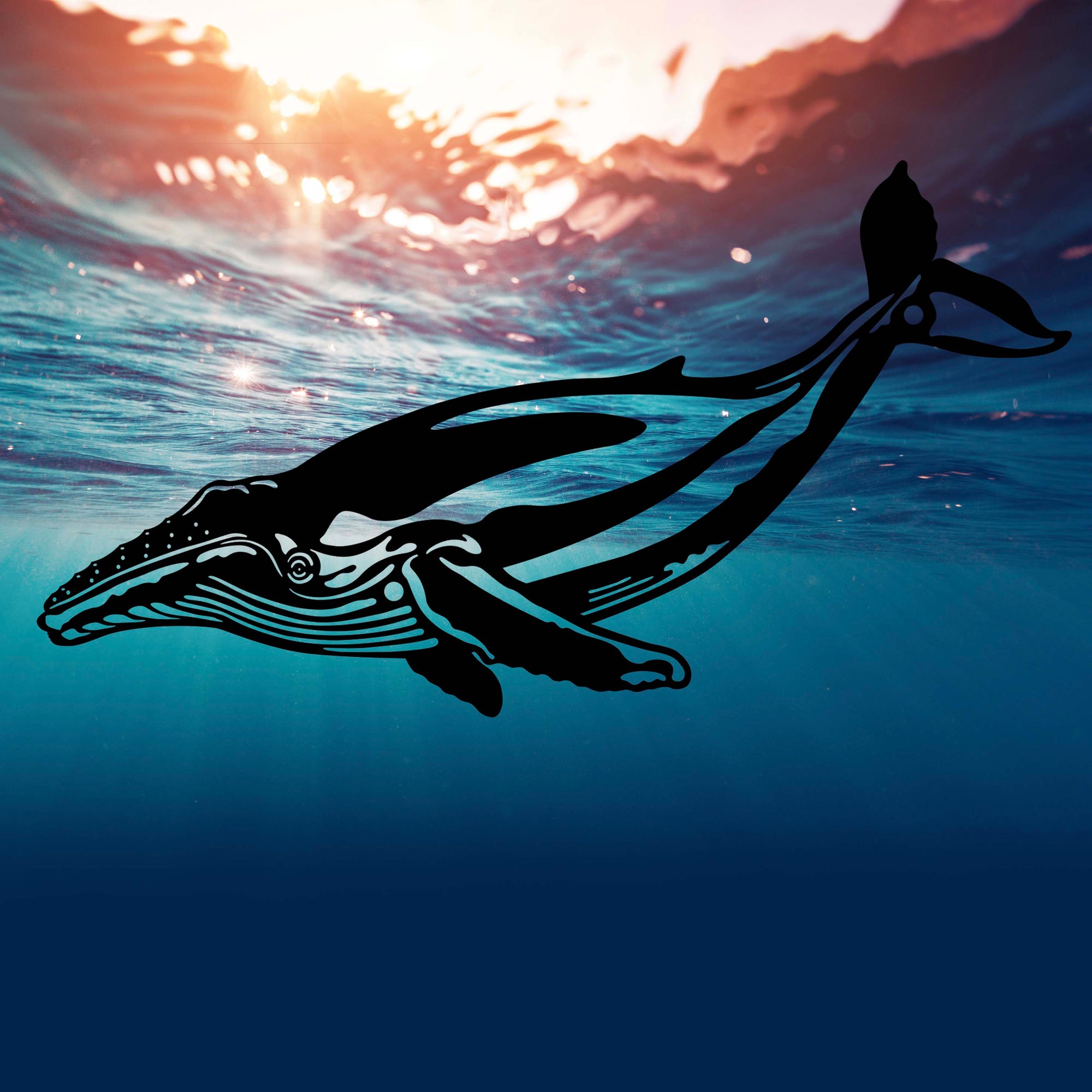 Whale Metal art gift card NZ inspired